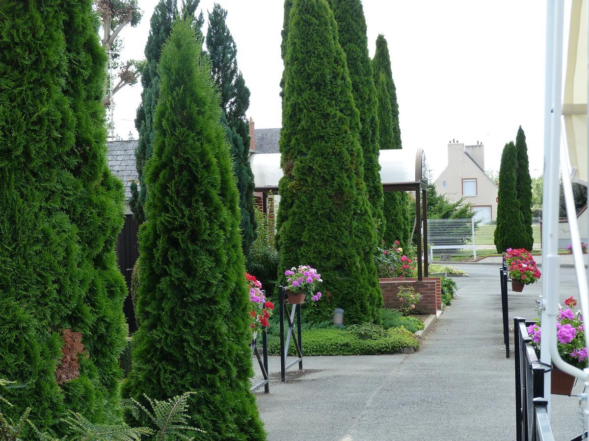 Hostellerie Du Chateau Saint-Pere-sur-Loire 外观 照片